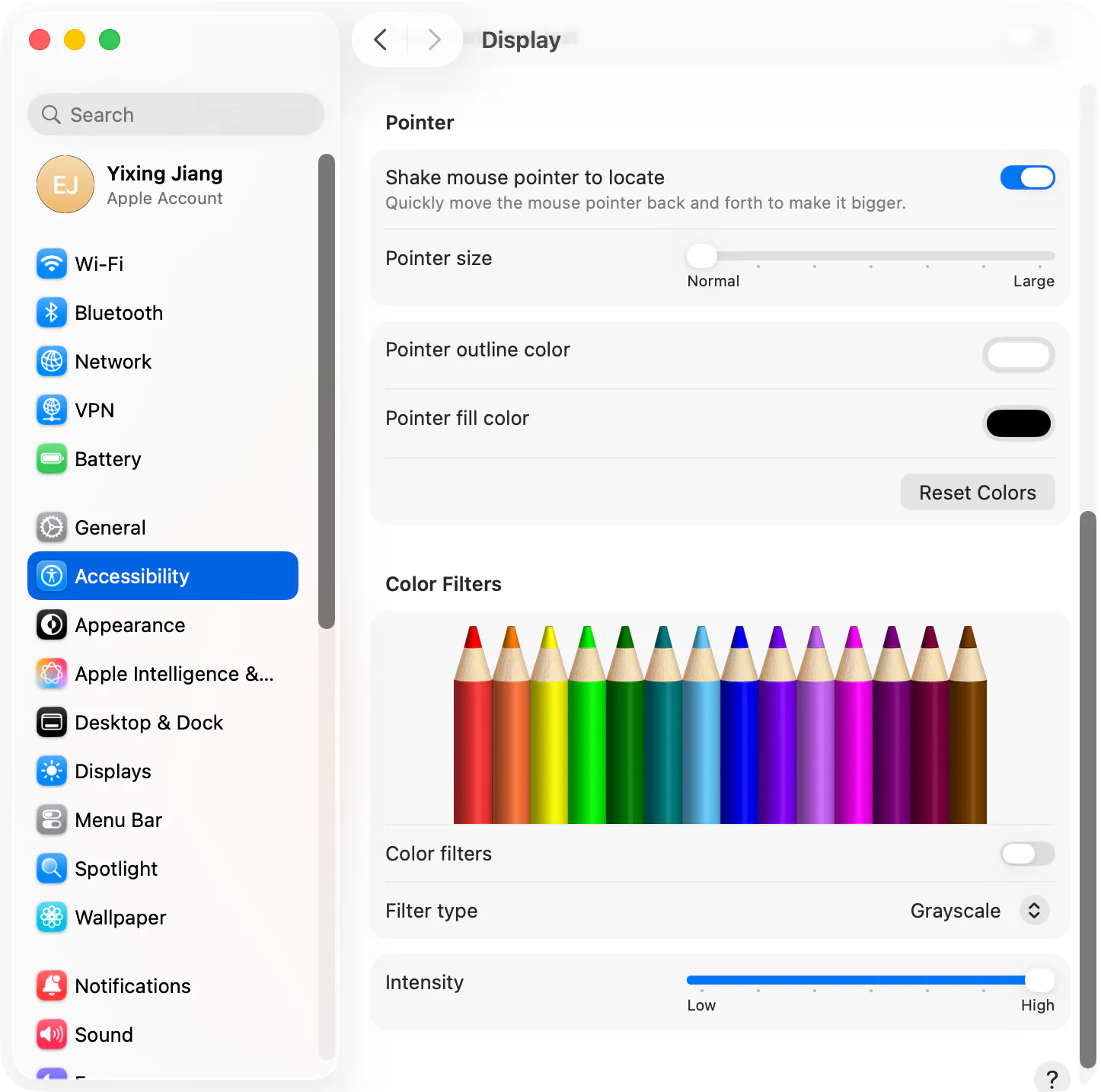 macOS System Settings Accessibility Display Pointer panel showing pointer size slider, outline color, and fill color