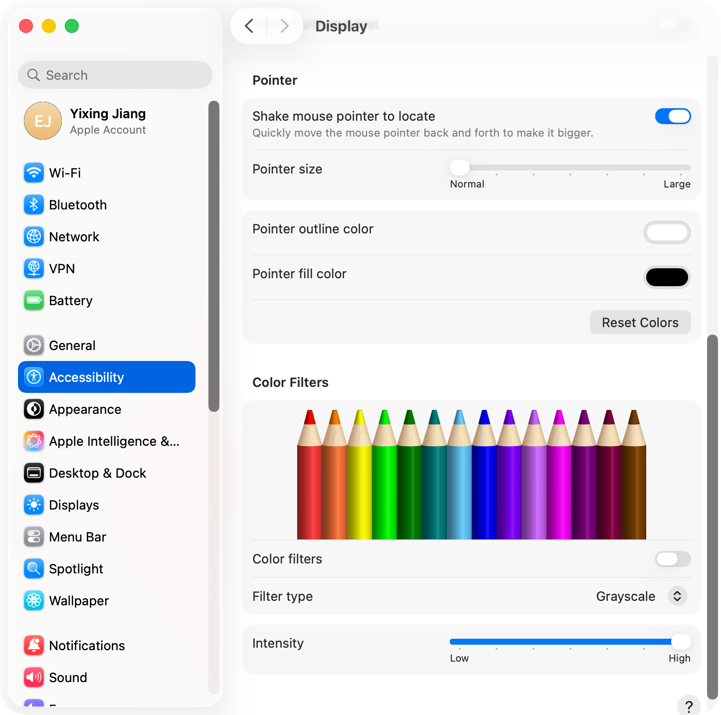 macOS System Settings Accessibility Display Pointer panel showing pointer size slider, outline color, and fill color